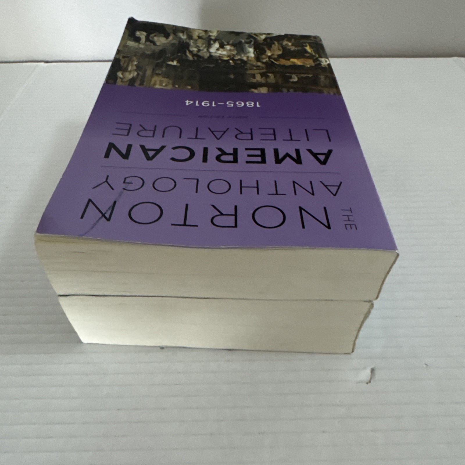 The Norton Anthology of American Literature 9th Edition, 2 Vol Set (B & C)