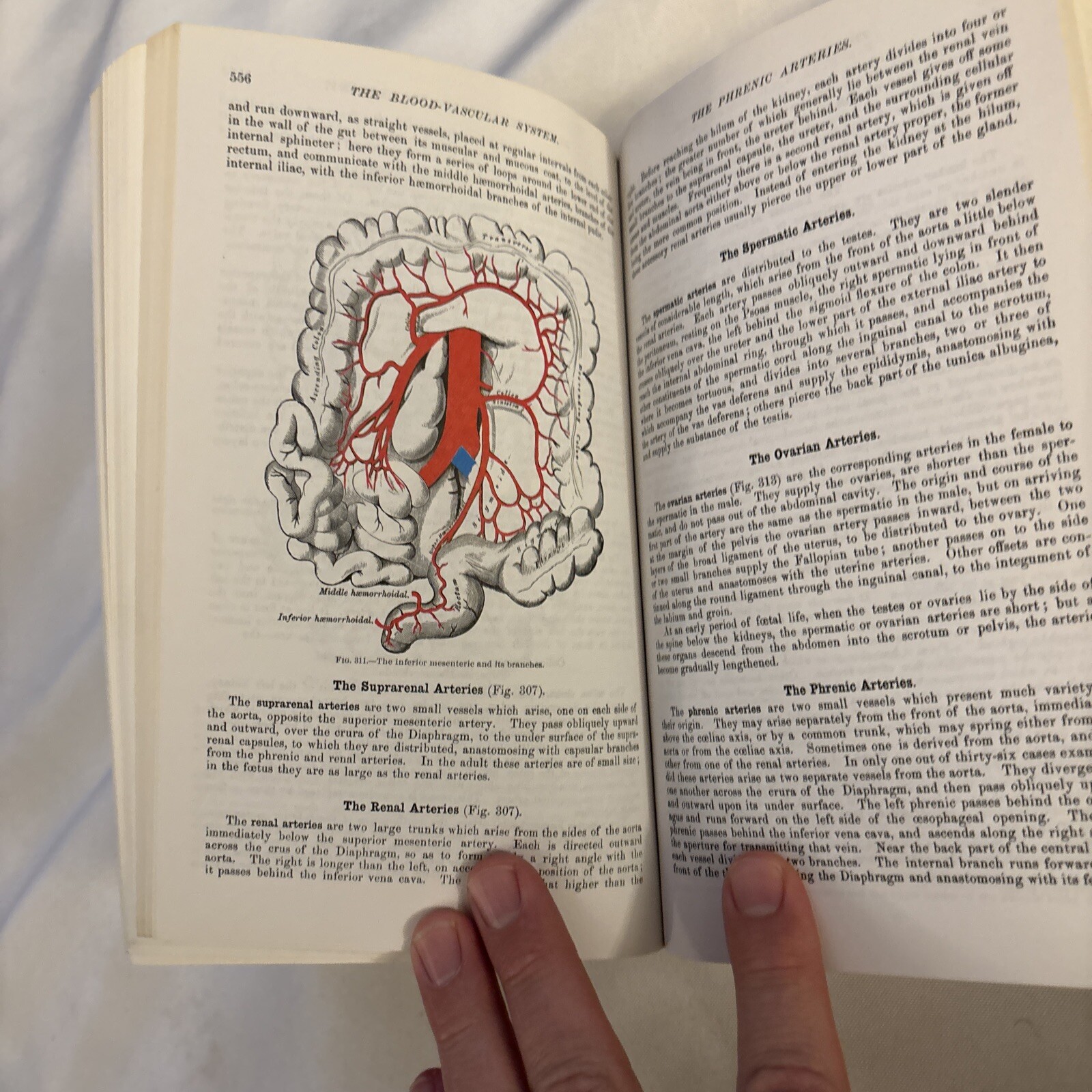 Grays Anatomy; the Unabridged Running Press Edition of the American Classic 1974