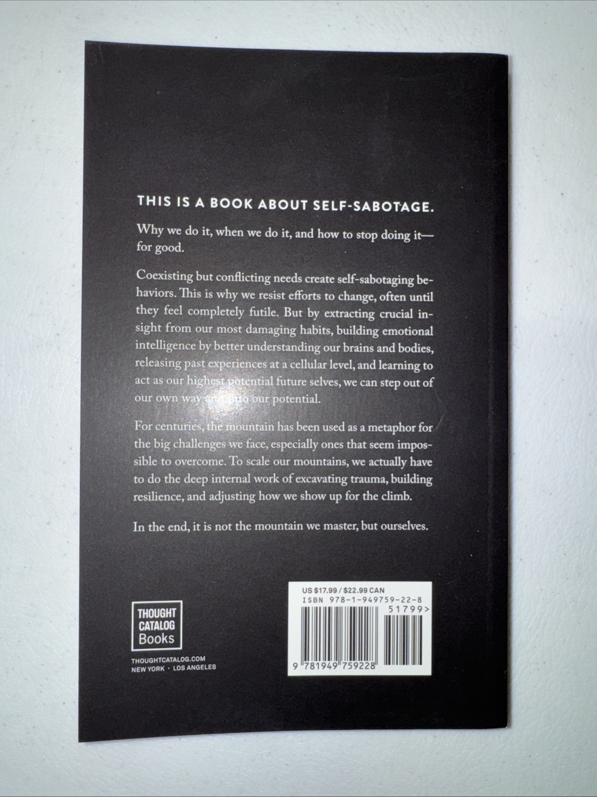 The Mountain Is You: Transforming Self-Sabotage Into Self-Mastery paperback VG