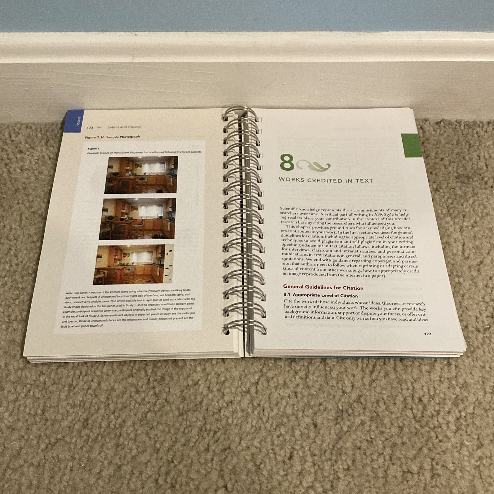 Concise Guide to APA Style: 7th Edition (OFFICIAL) by the APA