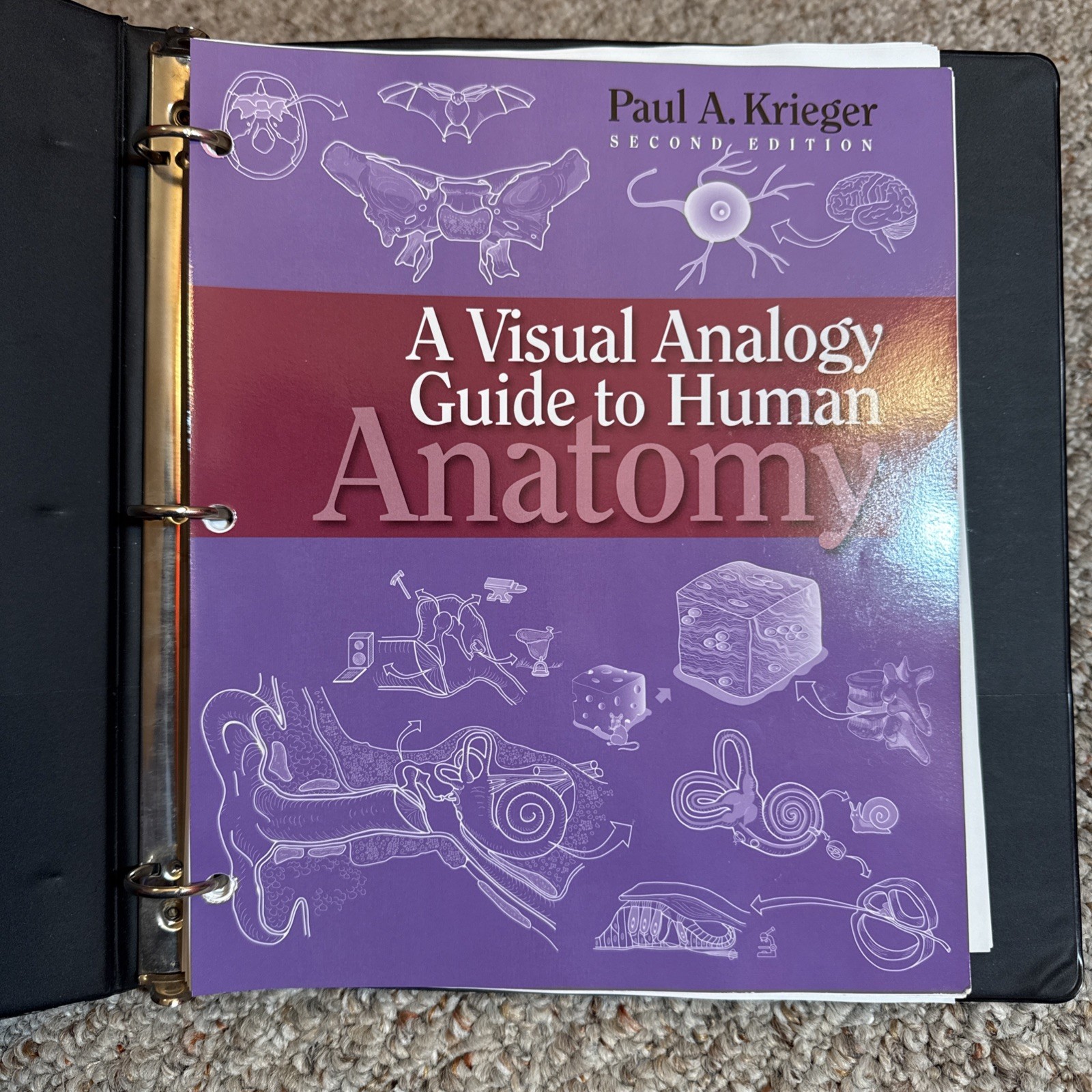 Visual Analogy Guide to Human Anatomy by Paul A. Krieger – 2nd Ed. Loose Leaf