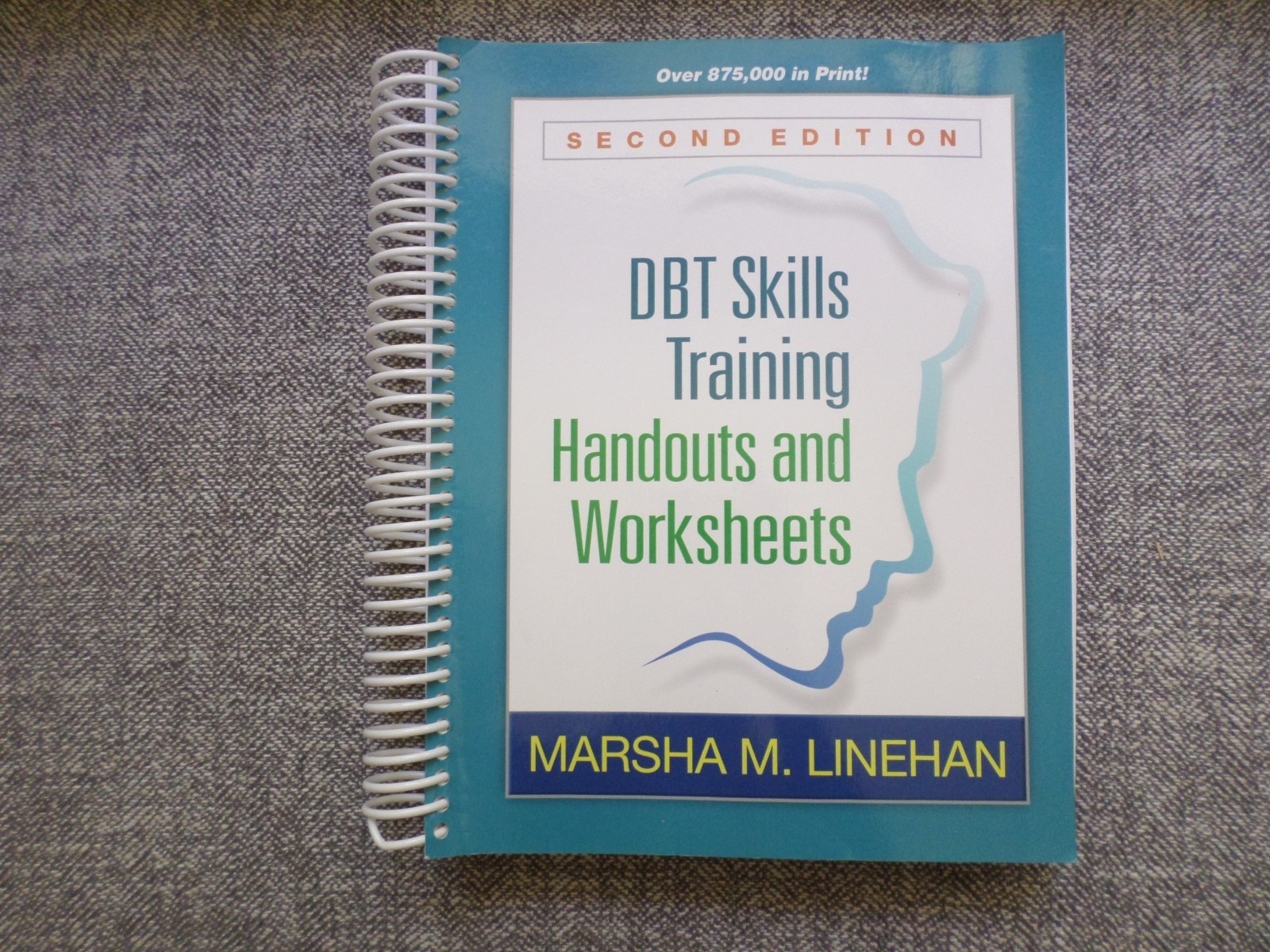 DBT Skills Training Handouts and Worksheets by Marsha M. Linehan (2014, Trade…