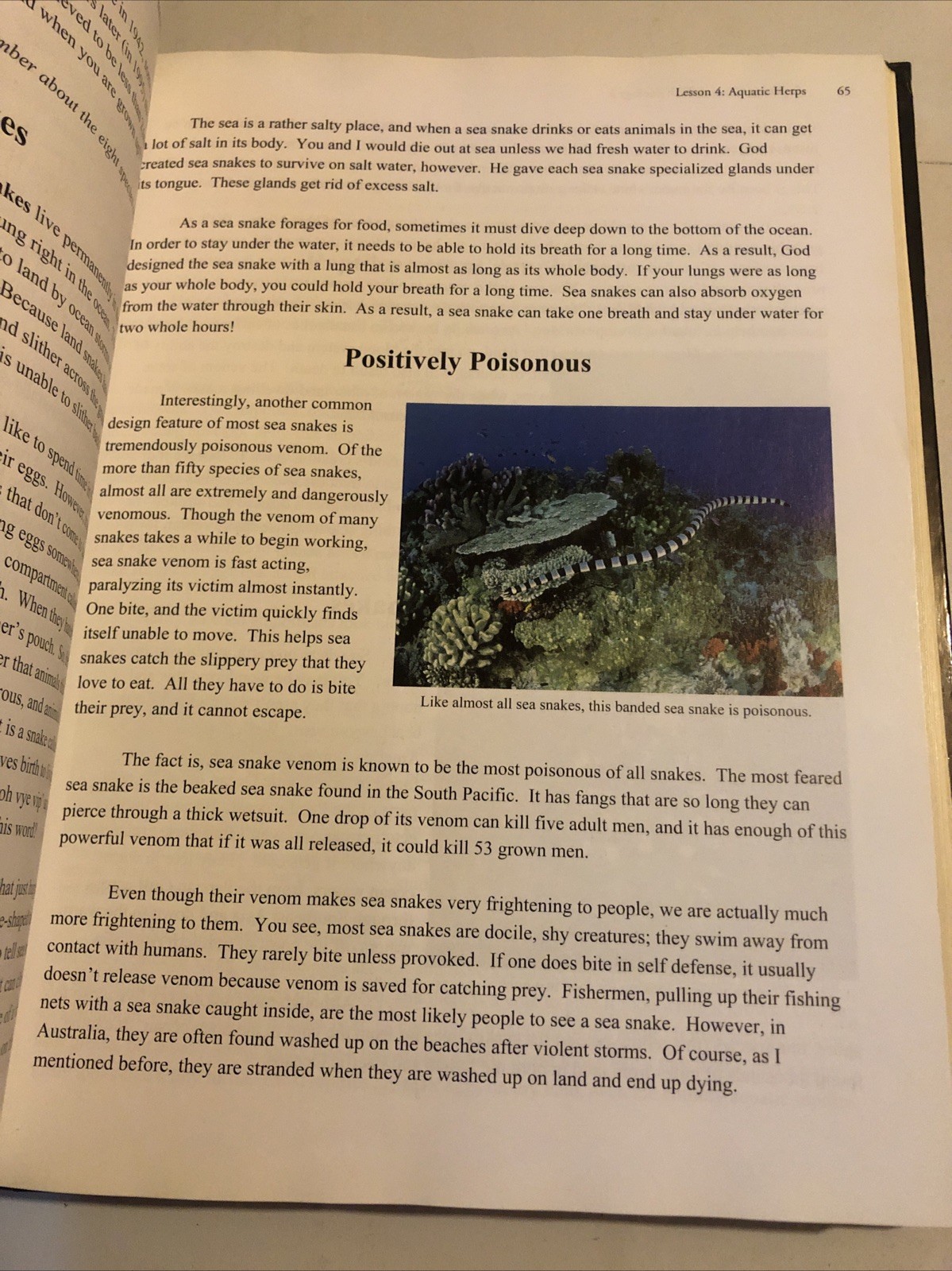 Apologia Young Explorer Exploring Creation With Zoology Set 1, 2, 3 Lot Student