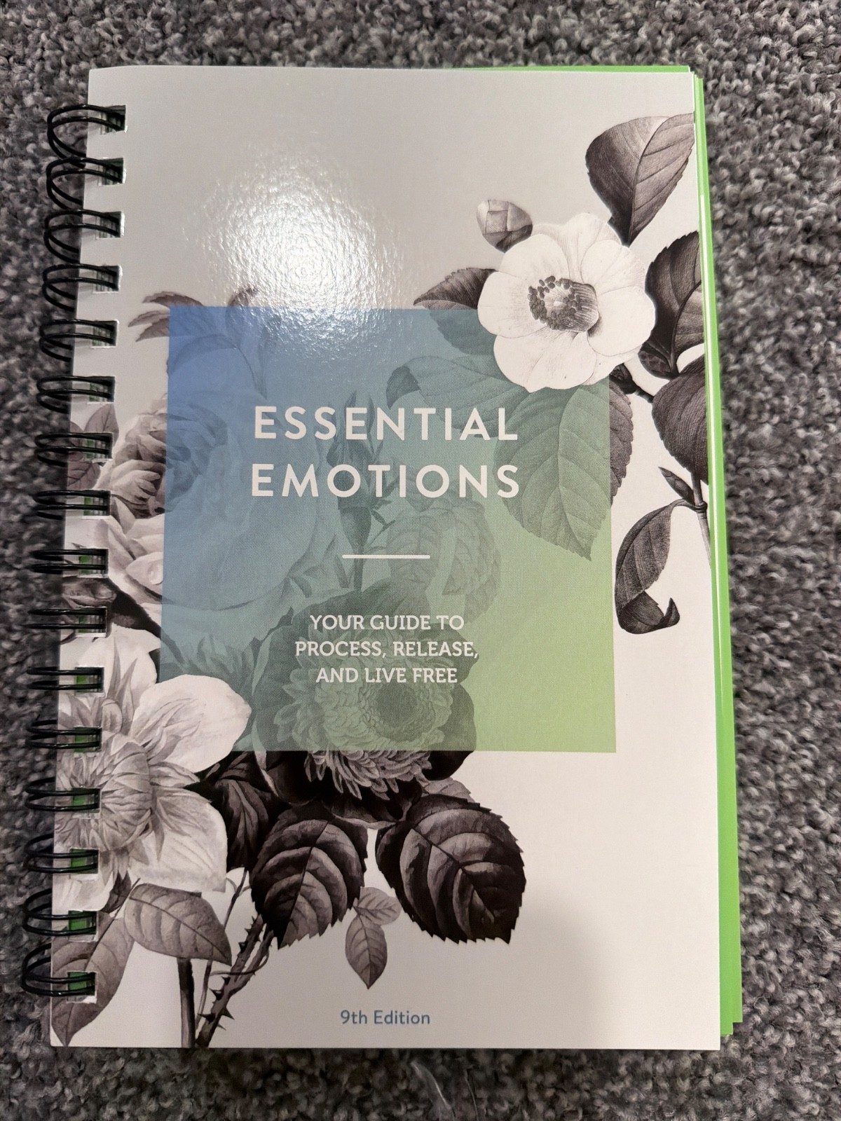 Essential Emotions Book 9th Edition by Essential Emotions (2020, Trade…