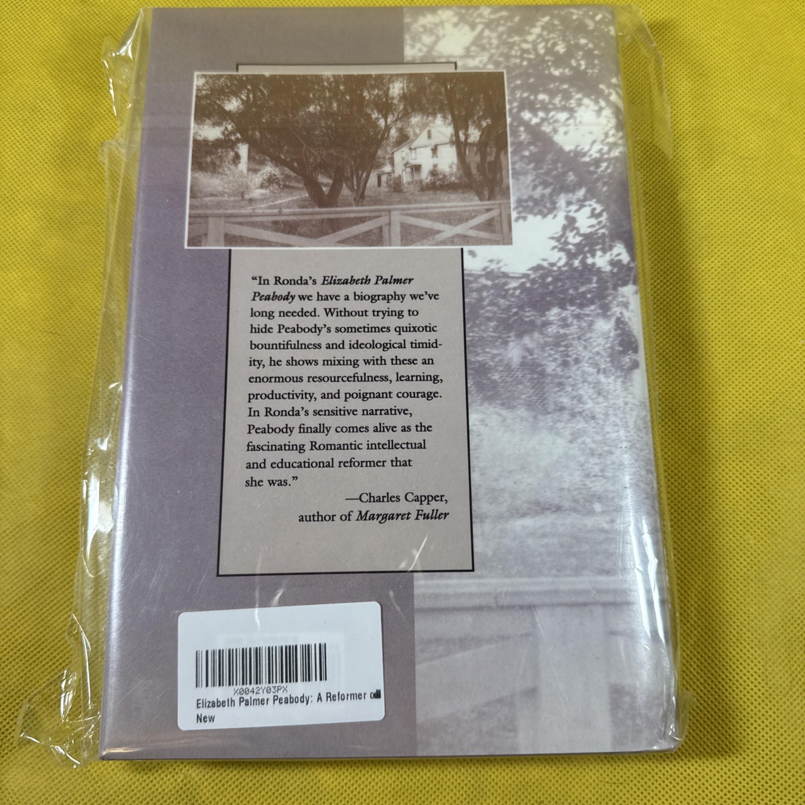 Elizabeth Palmer Peabody: A Reformer on Her Own Terms by Bruce A Ronda: New N5