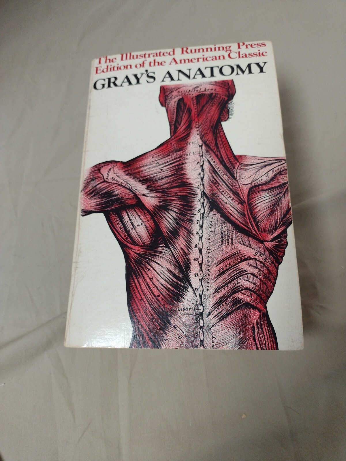 Gray’s Anatomy ILLUSTRATED Running Press Edition American Classic 1974