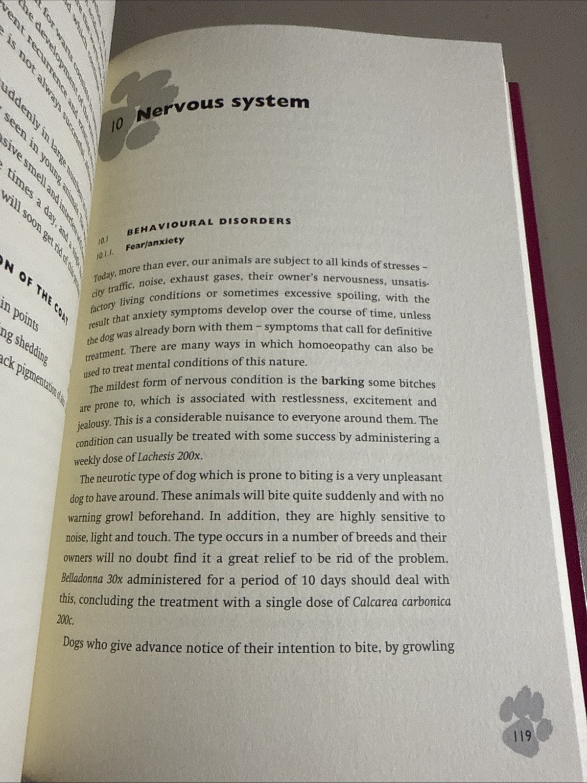HOMOEOPATHIC MEDICINE FOR DOGS: A HANDBOOK FOR VETS Pet Owners By Wolff 1998 PB