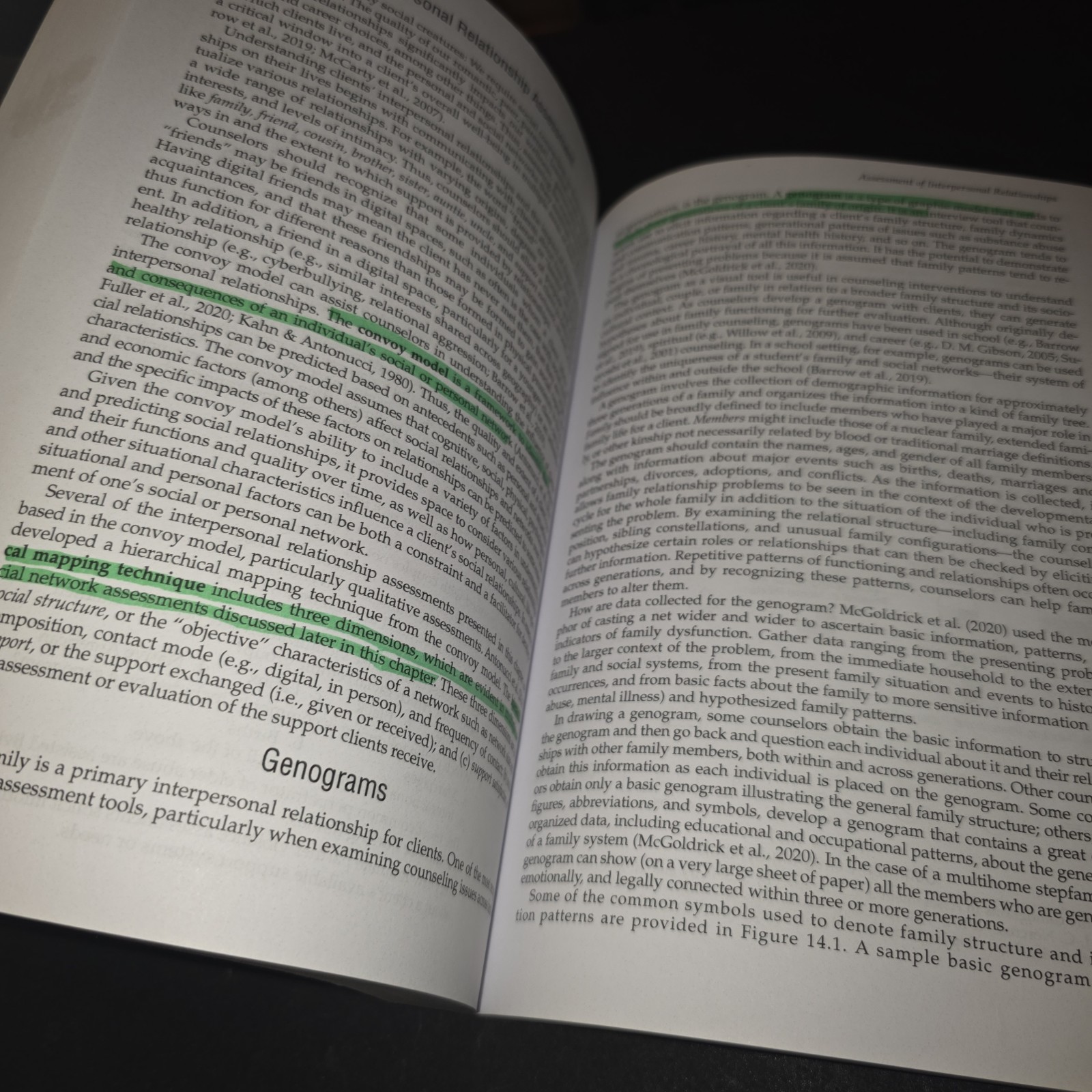 Assessment in Counseling: Procedures and Practices By Danica G. Hays 7th Edition