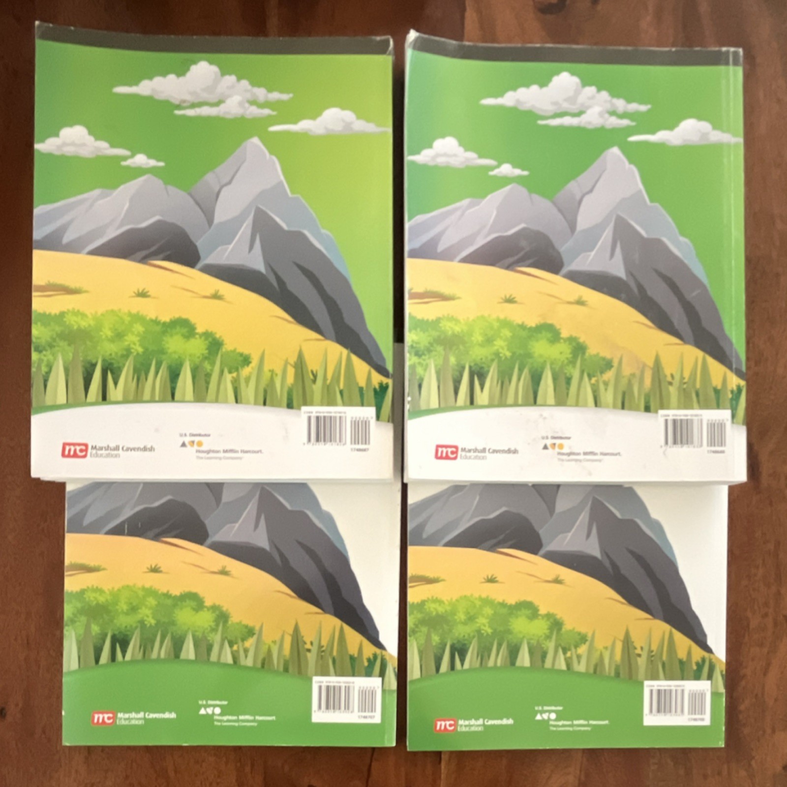 Marshall Cavendish Math in Focus Singapore Math Student Edition 3A & 3B
