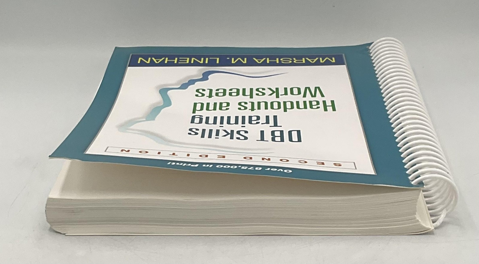 DBT Skills Training Handouts & Worksheets 2nd Ed Linehan Guilford Korea Teal