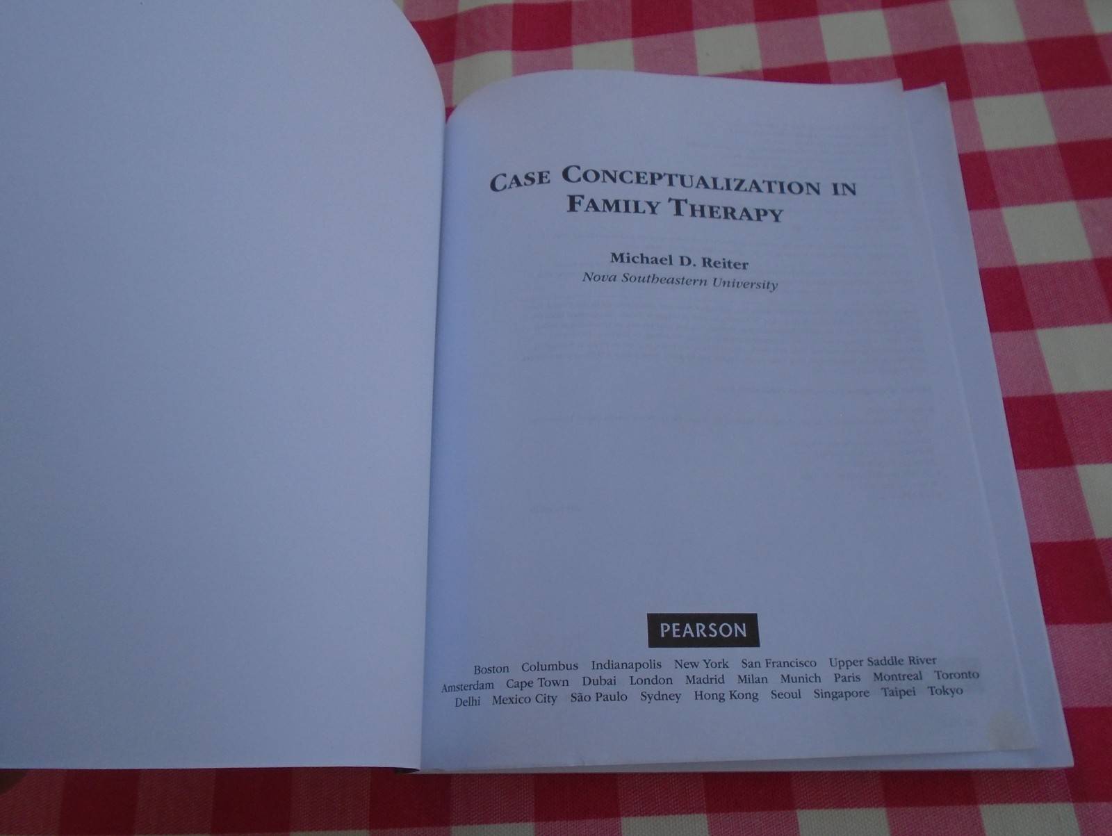Case Conceptualization in Family Therapy by Michael Reiter