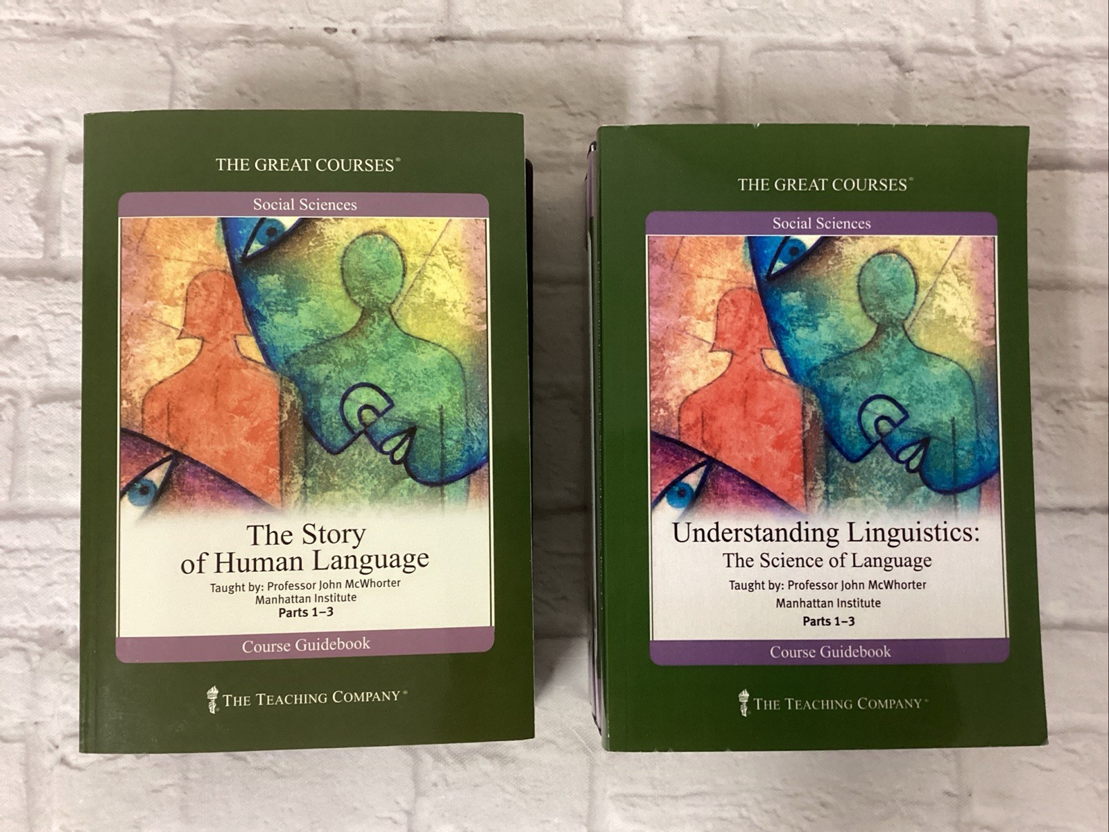 Great Courses Linguistics McWhorter Language Story DVDs 2 Course Set