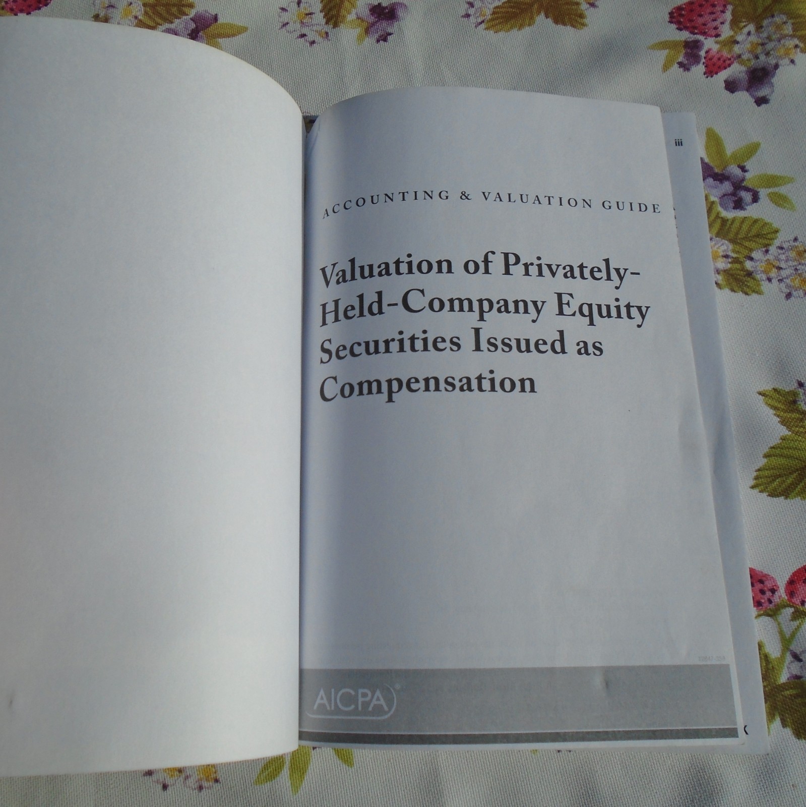 Accounting and Valuation Guide: Valuation of Privately-Held-Company Equity Secur