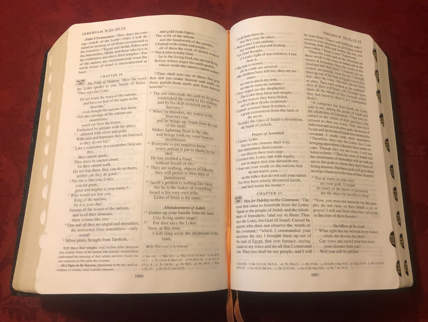 Catholic Study Bible, 2nd Ed. (2011, Bonded Leather/Thumb Indexed)