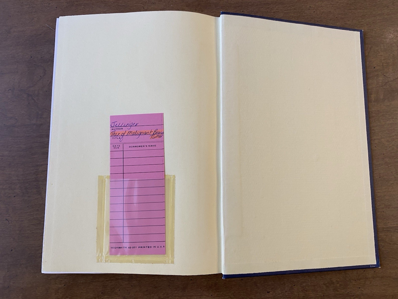 “Therapy of Malignant Brain Tumors” Medical HC 1987 Kurt Jellinger Springer