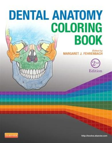 Dental Anatomy Coloring Book by MS Fehrenbach, Margaret J: Used