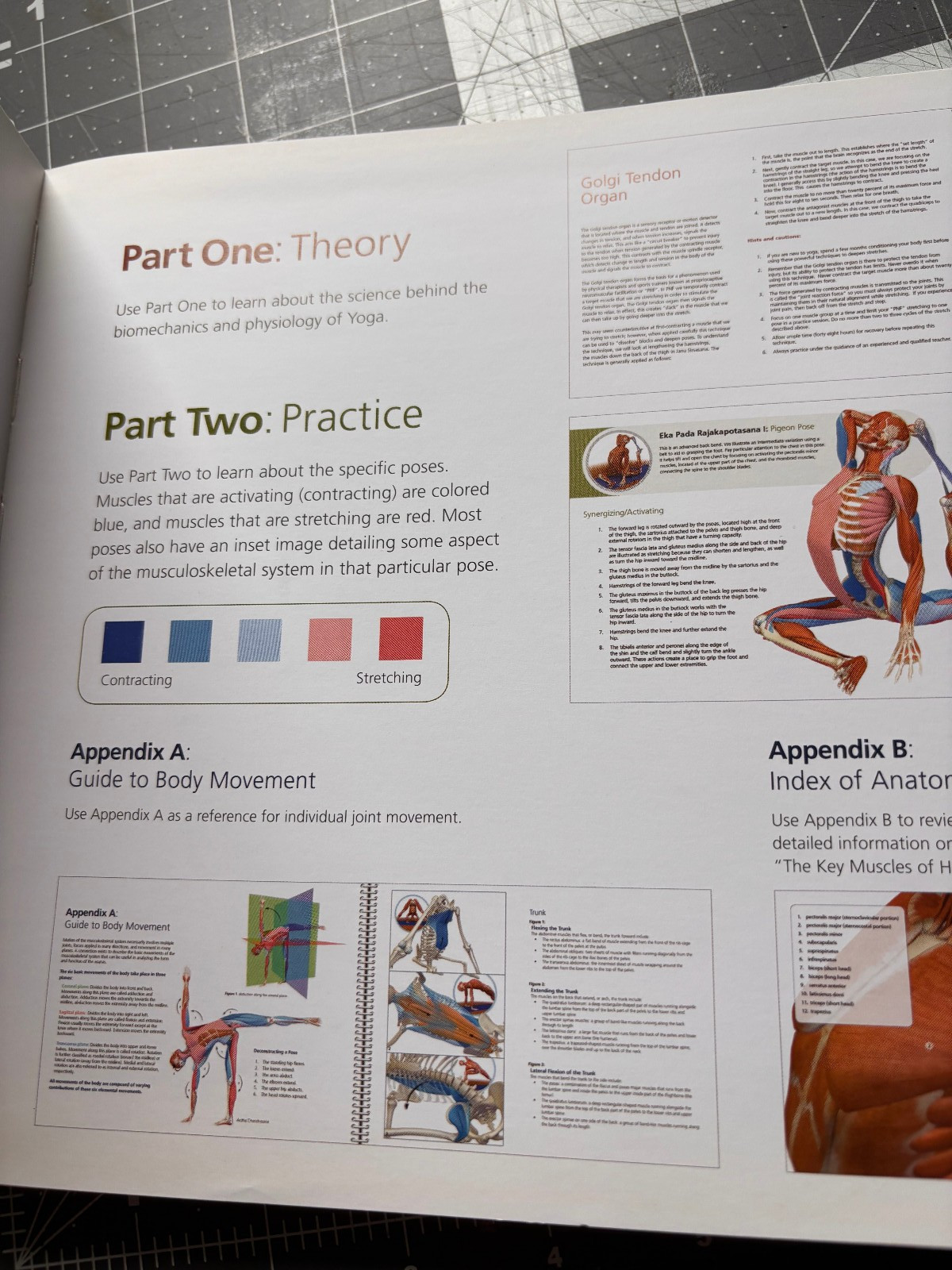 Key Muscles of Yoga Ray Long Vol 1 & 2 Scientific Keys Bandha Yoga Anatomy Set