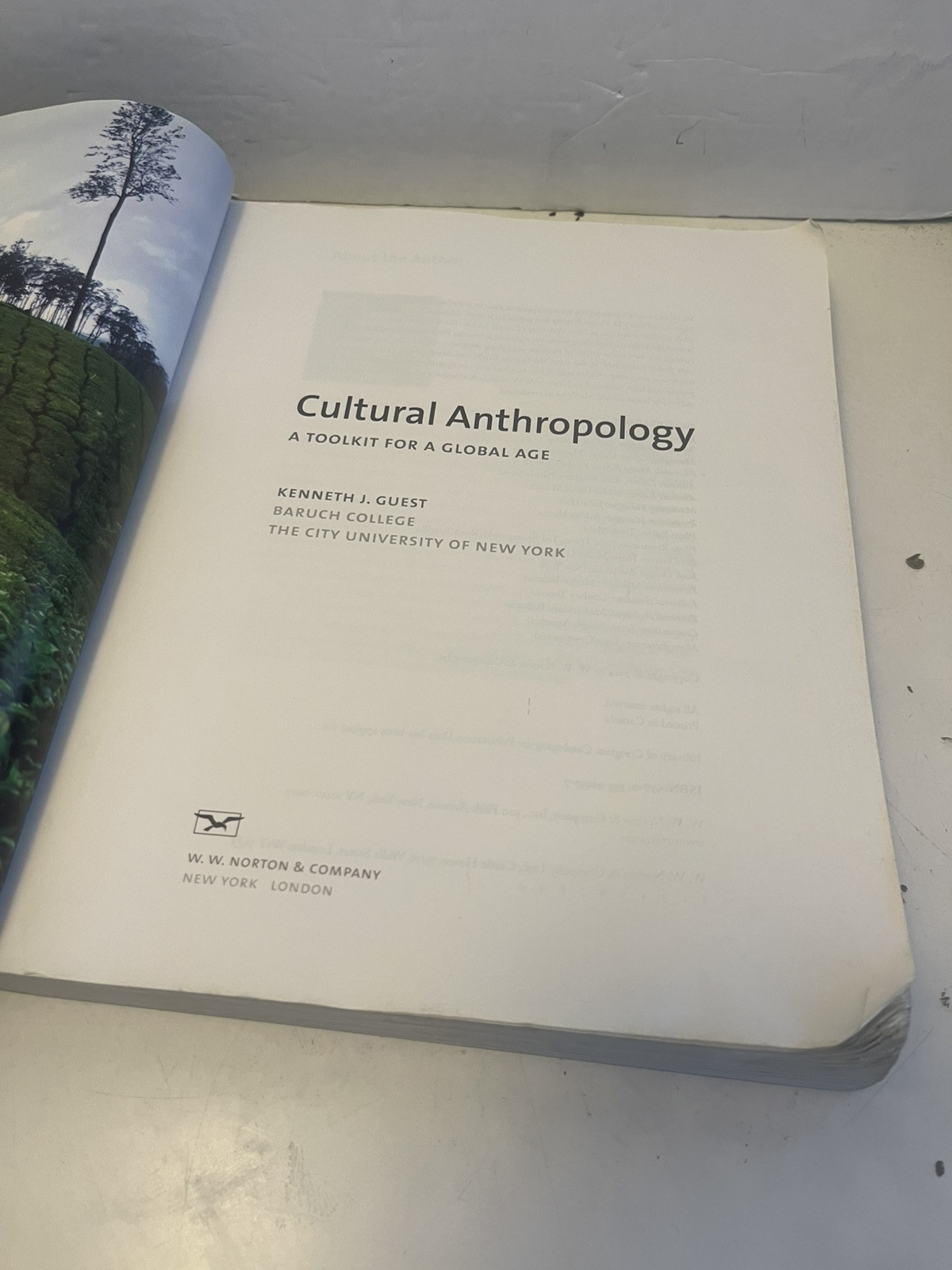 Cultural Anthropology : A Toolkit for a Global Age by Kenneth J. Guest (2013,…