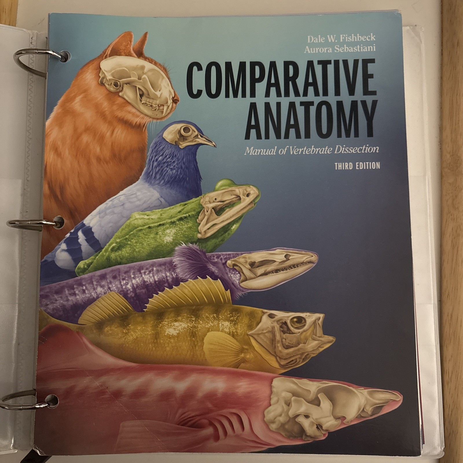 Comparative Anatomy : Manual of Vertebrate Dissection by Aurora M. Sebastiani…