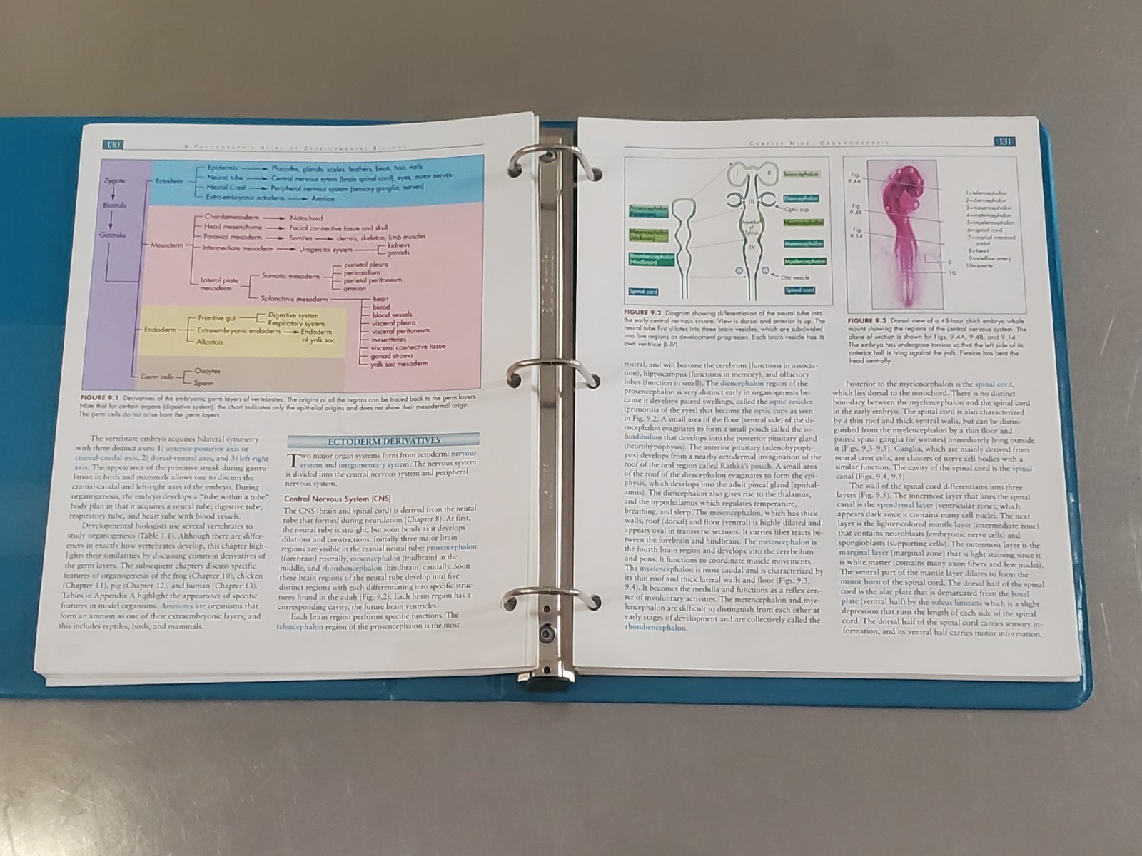 A Photographic Atlas of Developmental Biology Textbook by Shirley J Wright