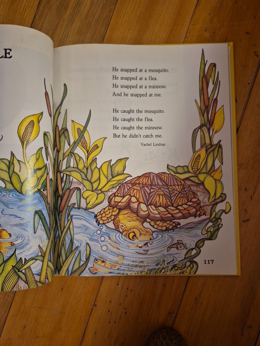 In The Wild Reading Textbook – Reading Express Early Readers – HC