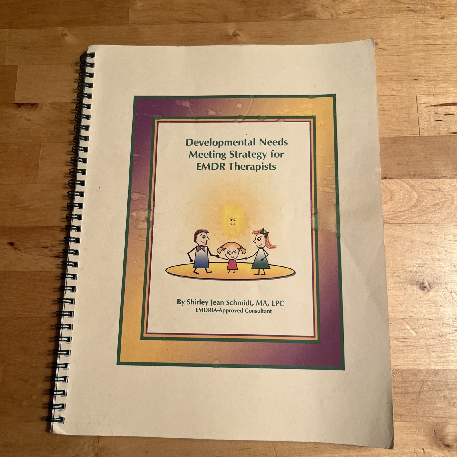 Developmental Needs Meeting Strategy for EMDR, Shirley Jean Schmidt, Therapy