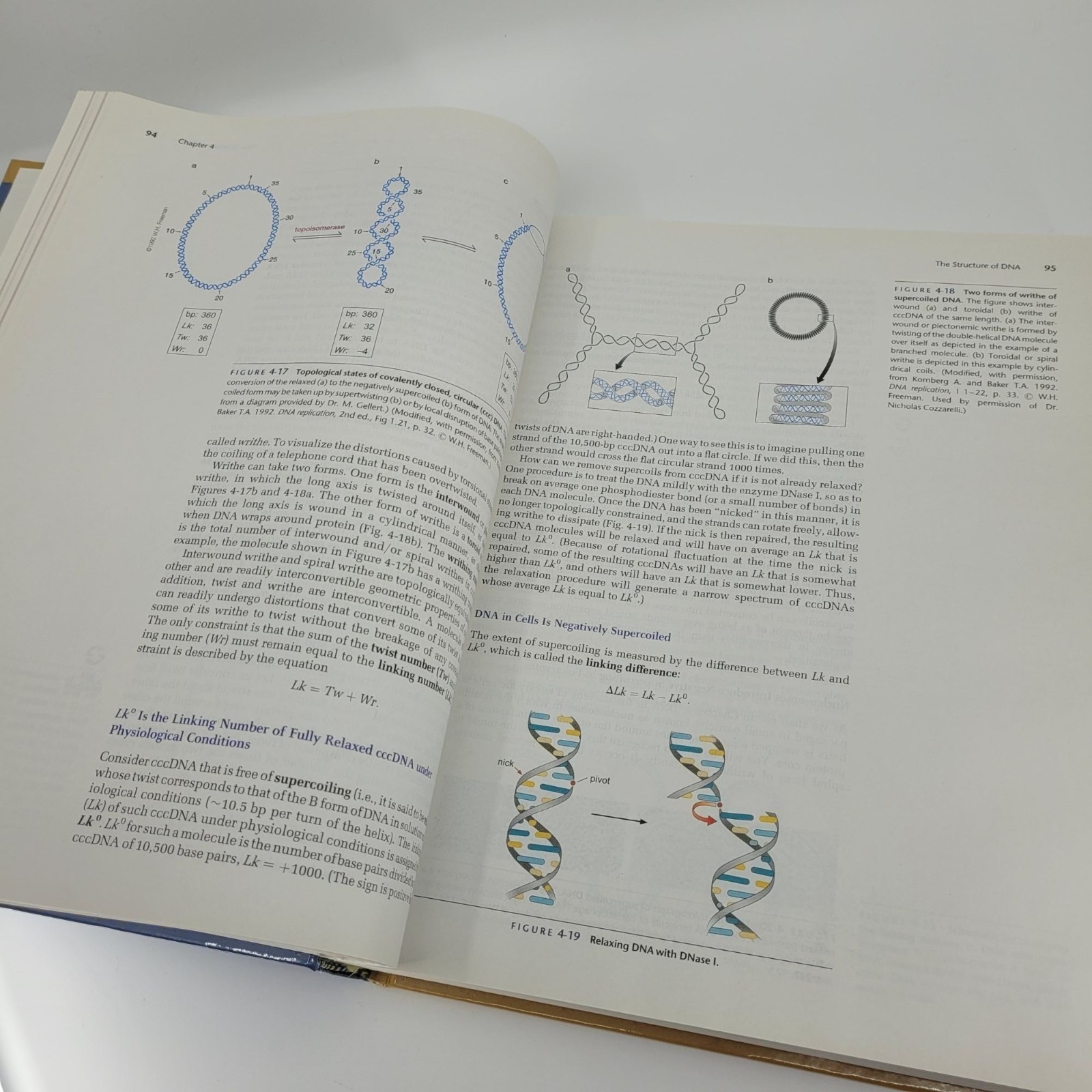 Molecular Biology of the Gene Seventh Edition Textbook 2014 James Watson Pearson