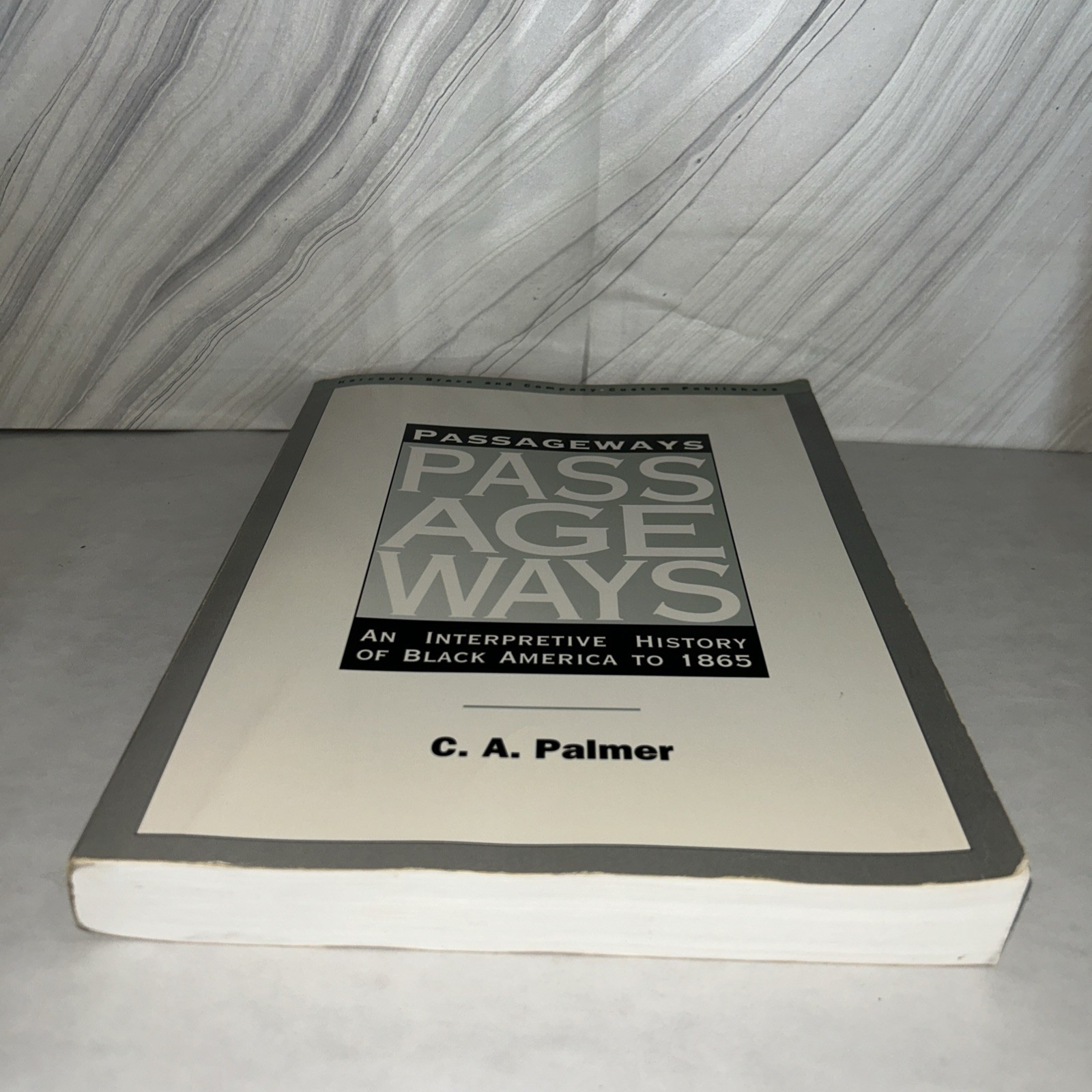 Passageways An Interpretive History Of Black America To 1865 by C.A. Palmer K2