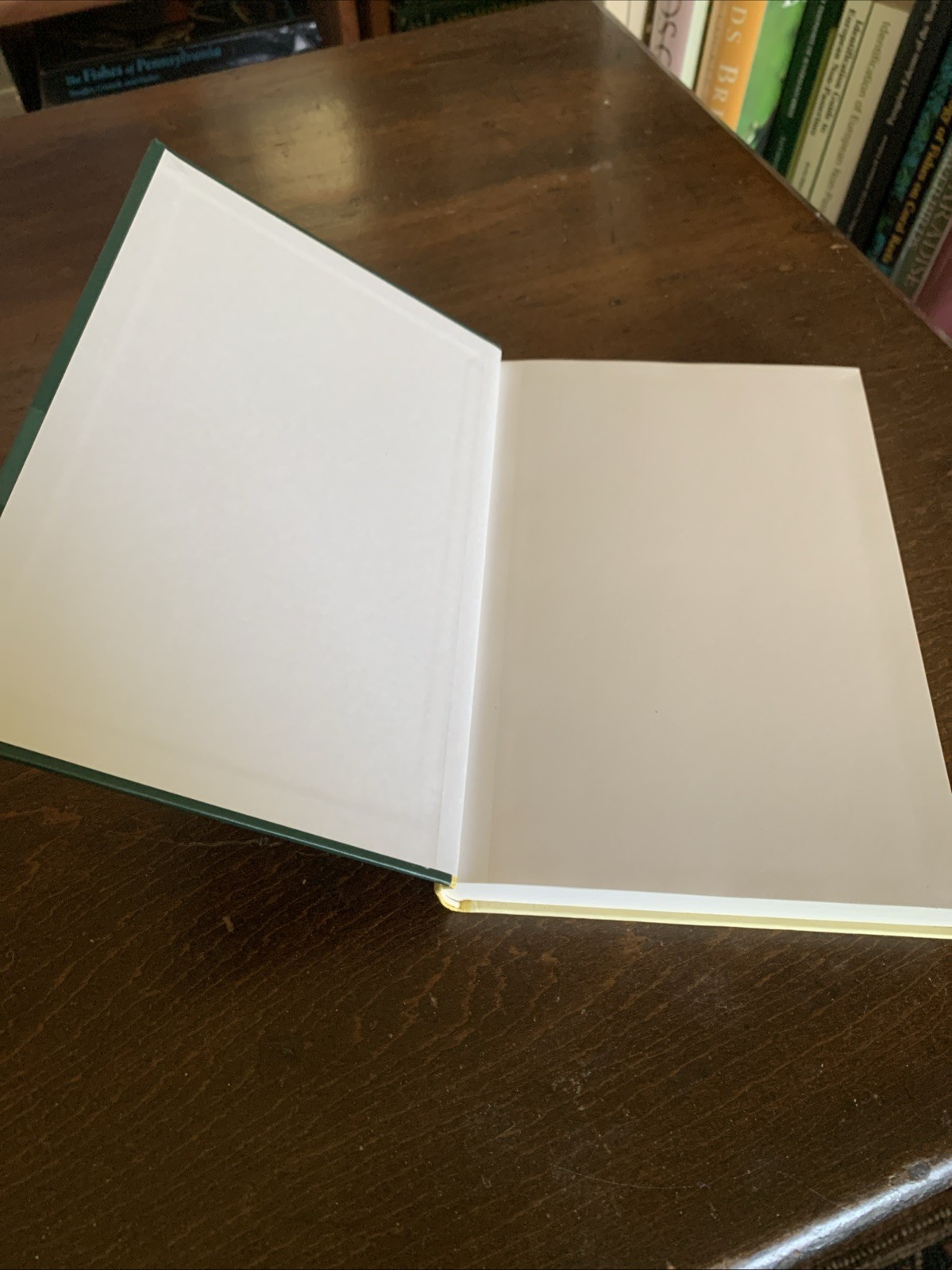 Evolution and Diversification of Land Plants by Peter H. Raven (1997, Hardcover)