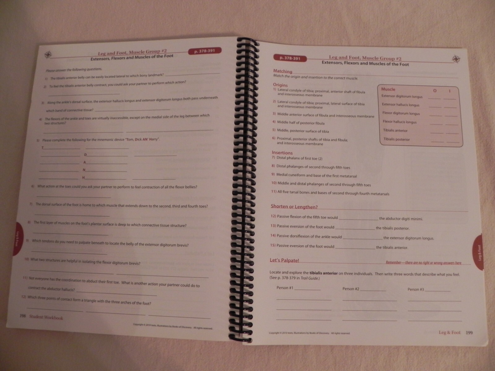 Trail Guide To The Body By Andrew Biel, Student Workbook 4th Edition