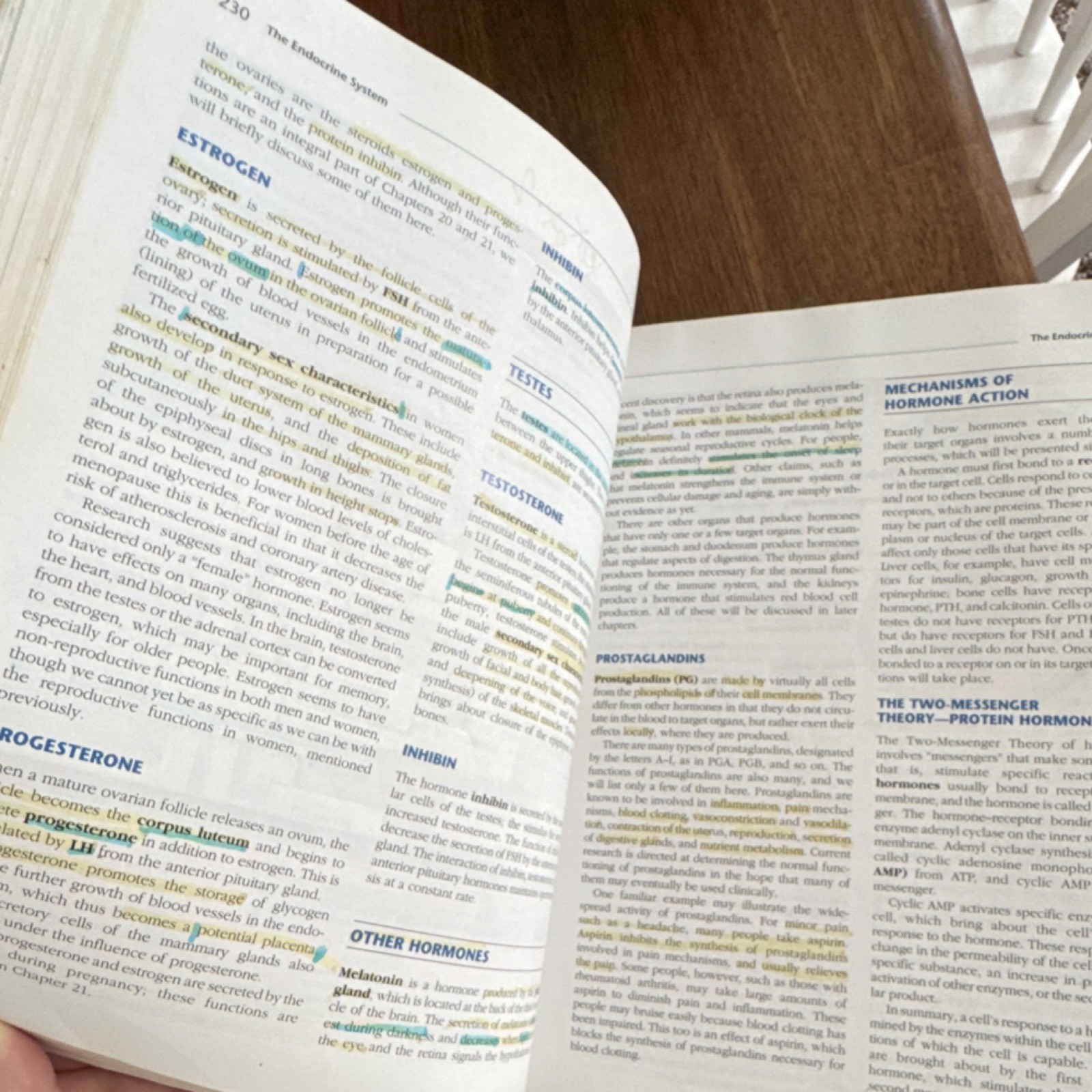 F. A. Davis Company Essentials of Anatomy & Physiology Fourth Edition Full Color