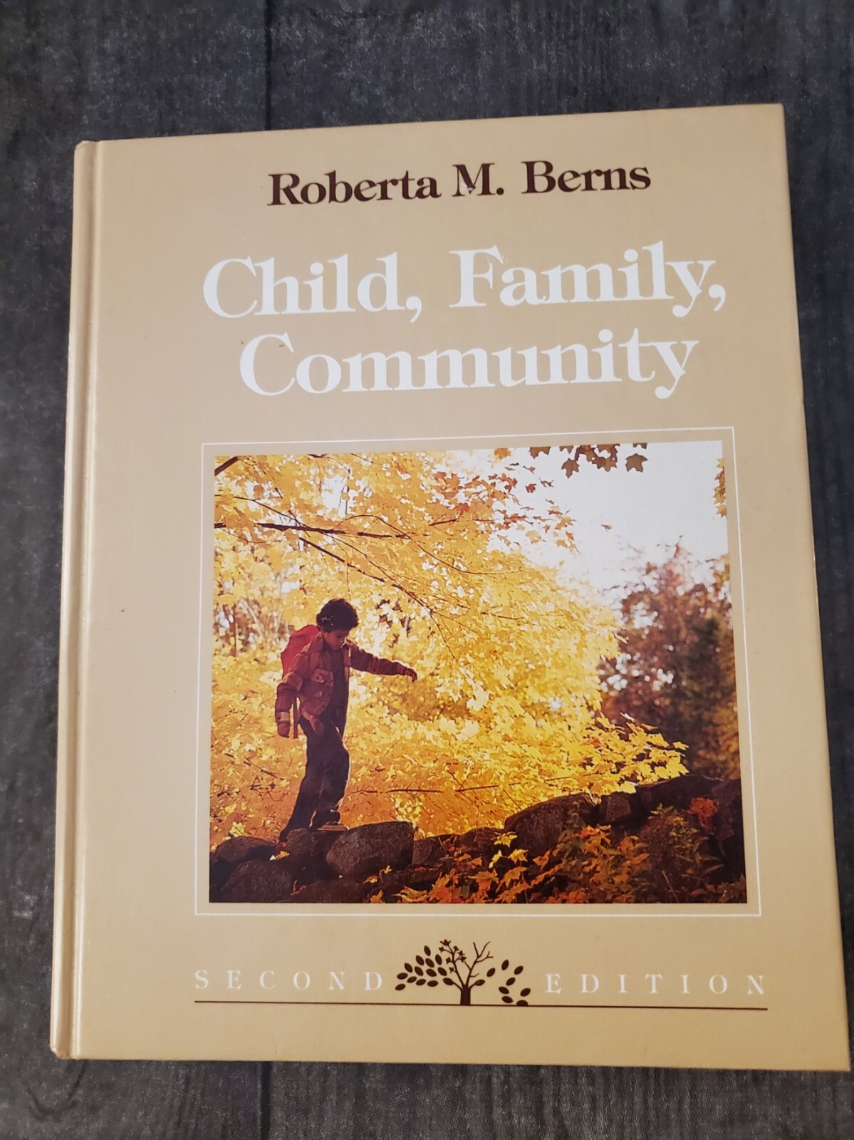 Child, Family, Community by Roberta M. Berns 2nd Edition copyright 1989