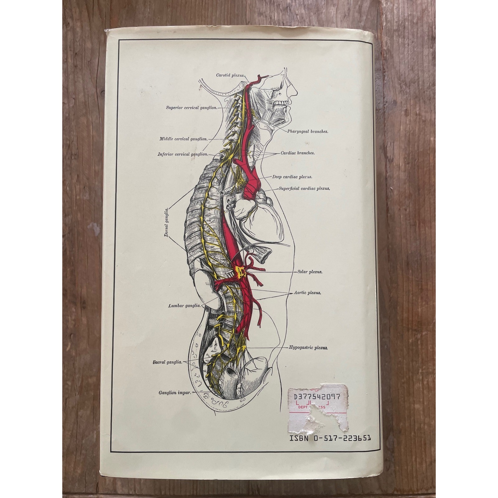 Gray’s Anatomy Classic Collector’s Edition 1977 Bounty Books Hardcover Medical
