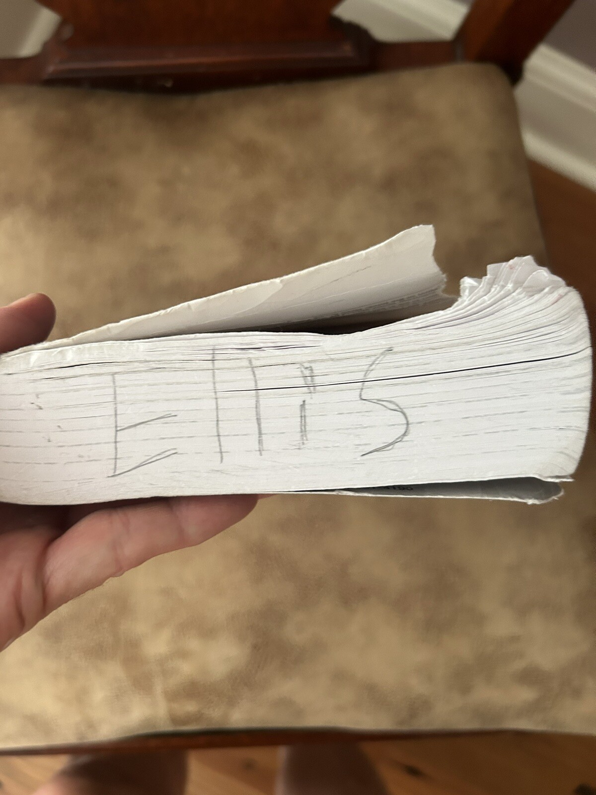 Advanced Placement English Language and Composition by Timothy Freitas, Brandon