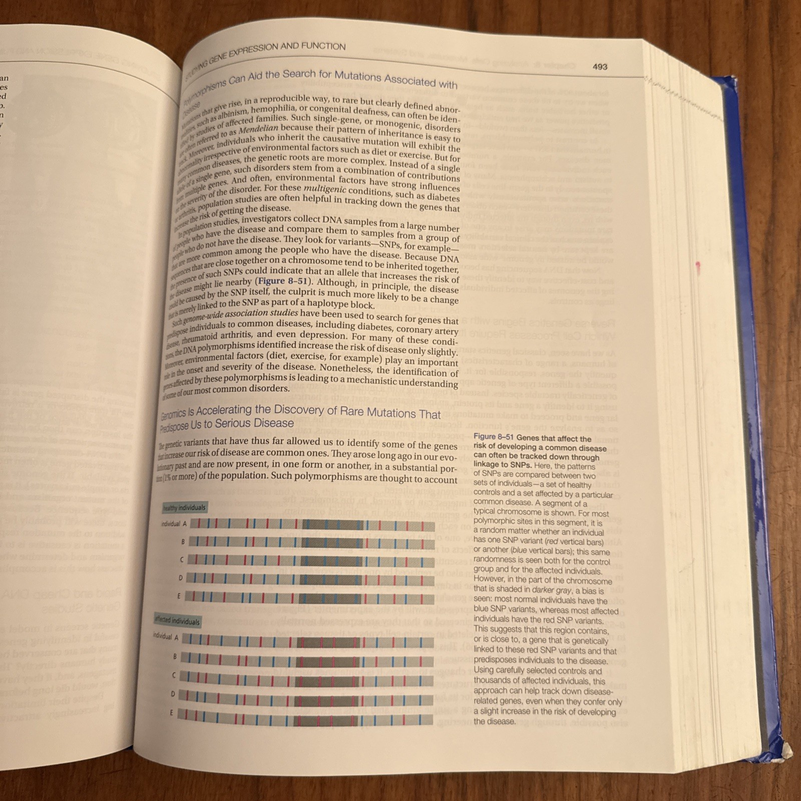 Molecular Biology of the Cell 6th Edition GOOD Clean Pages 9780815344322