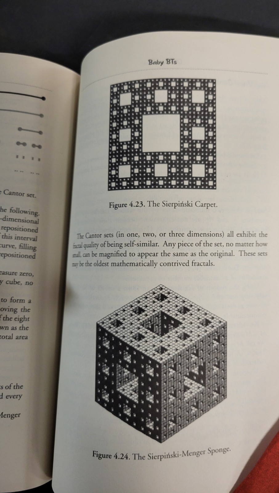 THE PEA AND THE SUN Mathematical Paradox by L. Wapner (2005, HCDJ) VERY GOOD
