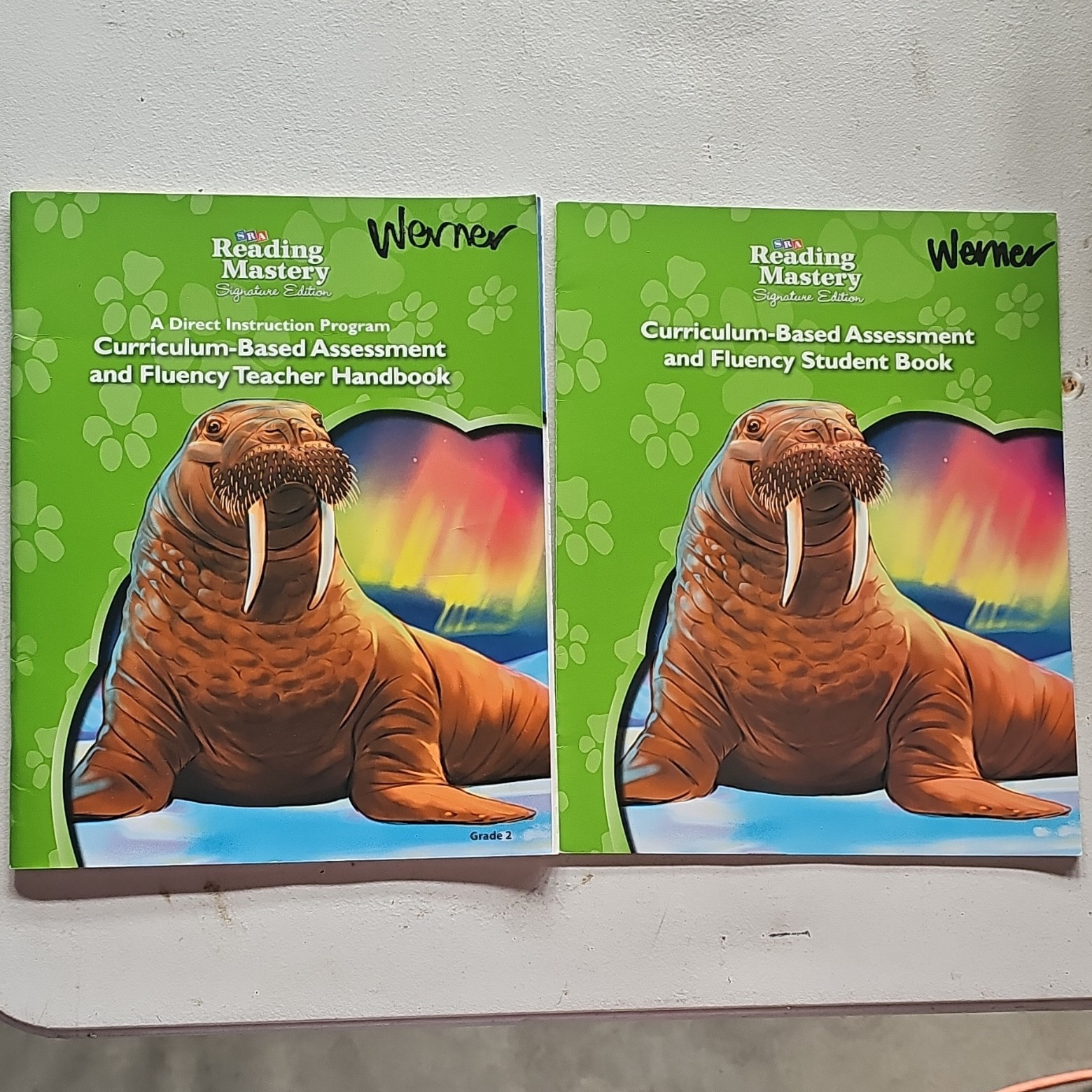 SRA/McGraw-Hill Reading Mastery Signature Ed Assessment & Fluency Grade 2