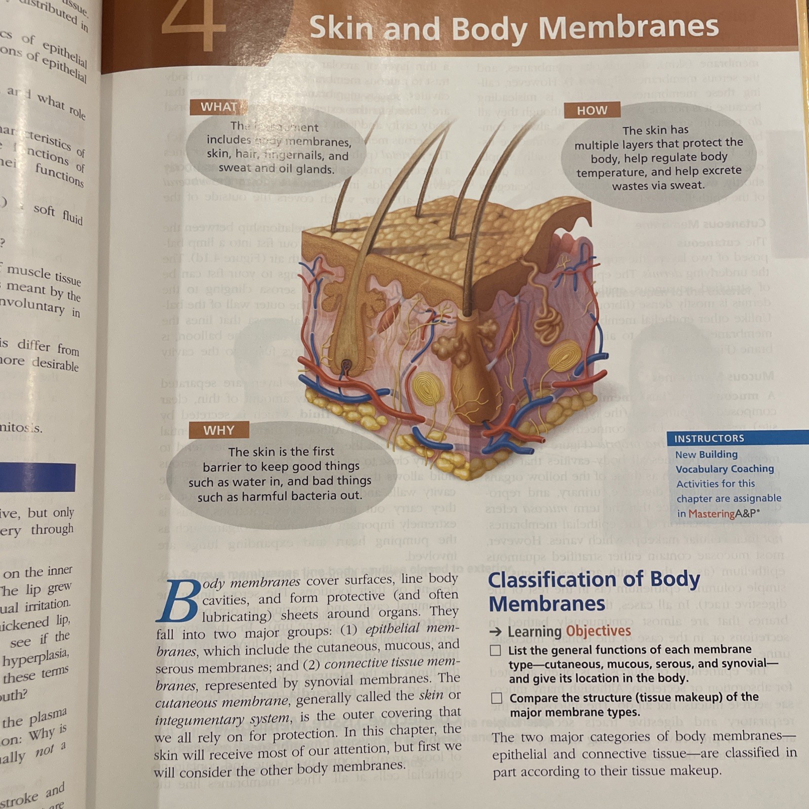 Essentials of Human Anatomy and Physiology 12th Ed Marieb Keller Hard Cover