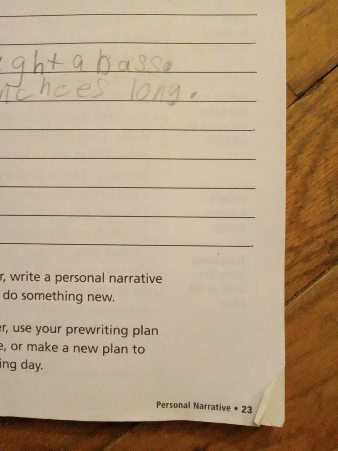 Common Core Reader’s Notebook Grade 3 Vol 1 &2, Common Core Writing Check Photos