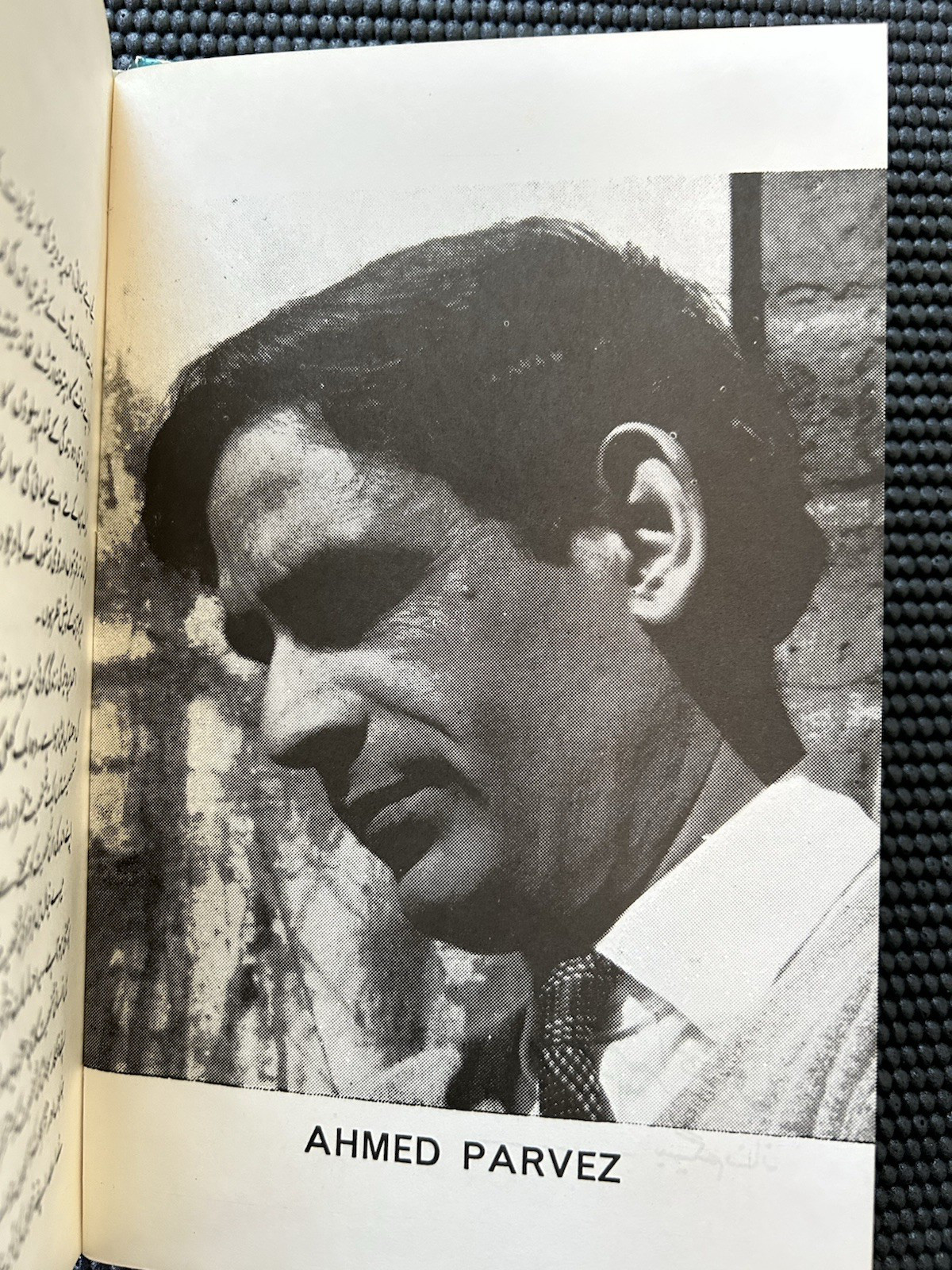 Ahmed Pervez : Pakistan Artist Painter