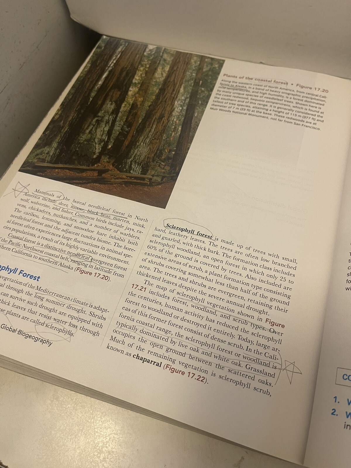 Visualizing Ser.: Visualizing Physical Geography by Timothy Foresman and Alan H.