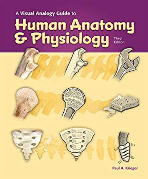 A Visual Analogy Guide to Human Anatomy and Physiology, 3e Paul A