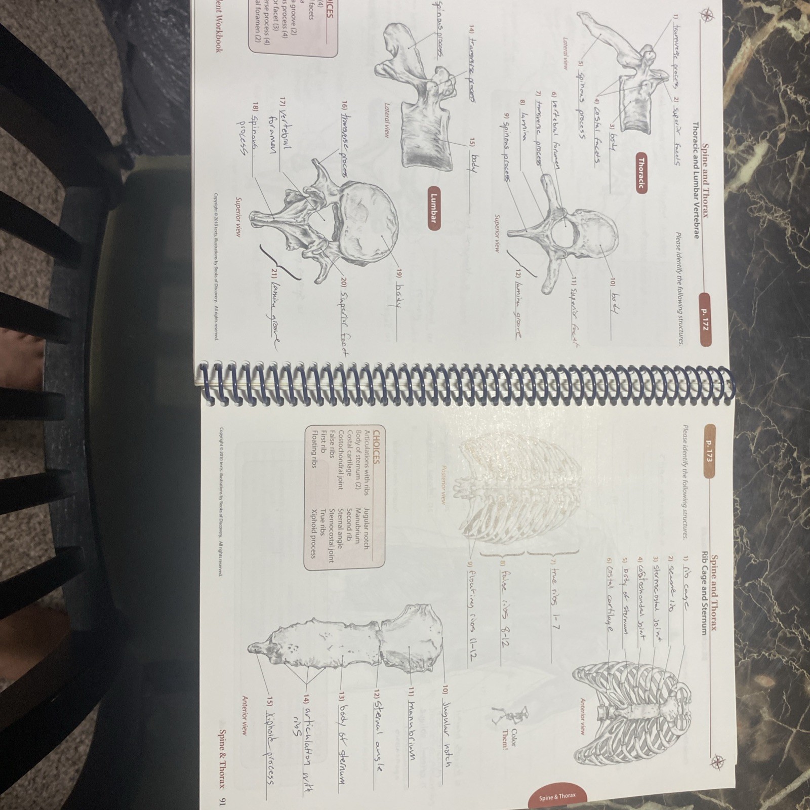 Trail Guide to the Body 4e Student Workbook by Andrew Biel (2011, Trade…