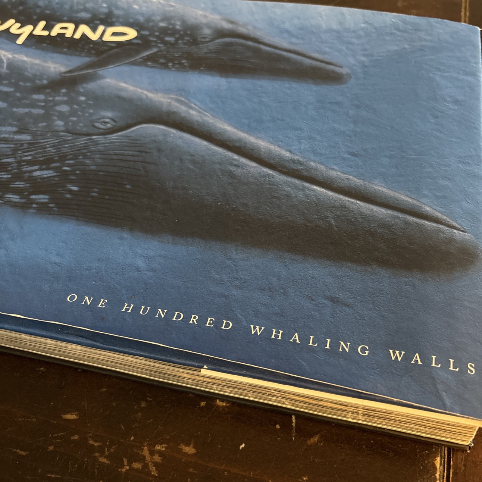 100 Wyland Whaling Walls by Not Available (2008, Hardcover)
