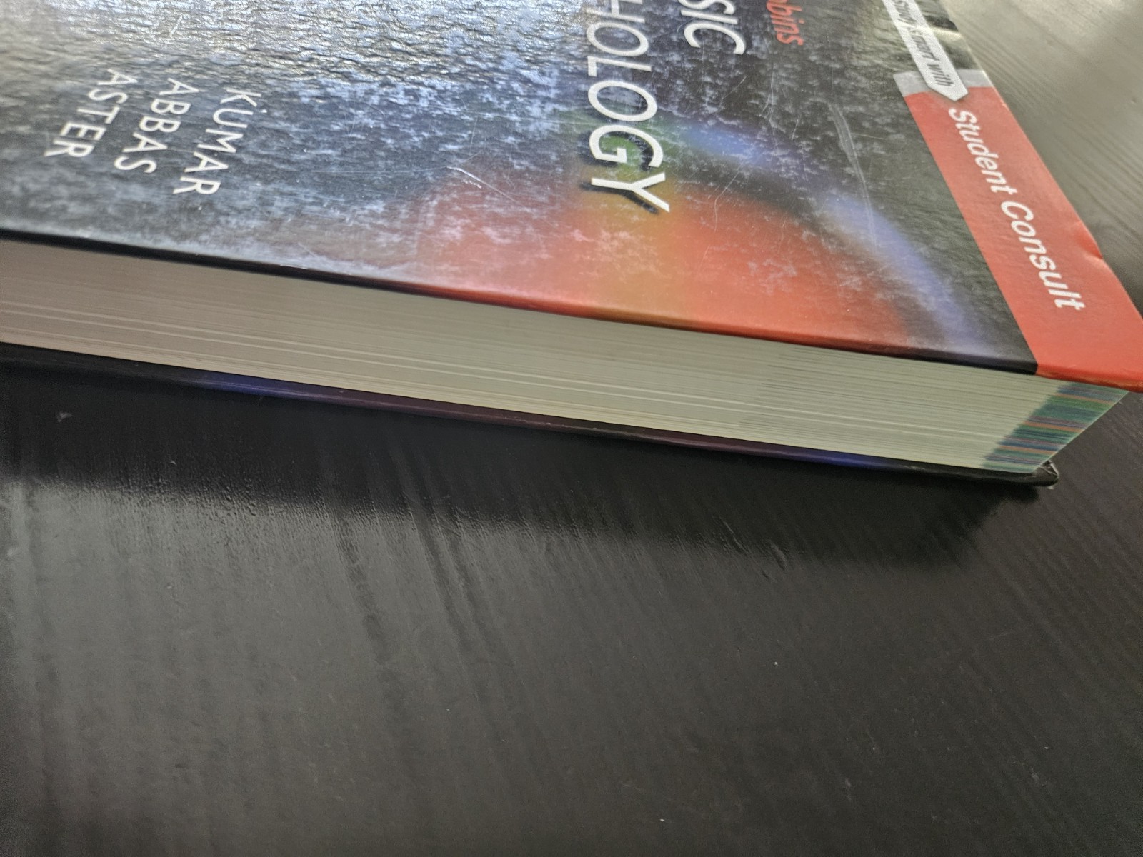 Robbins Basic Pathology 10th Edition Kumar Abbas Aster (Hardcover)