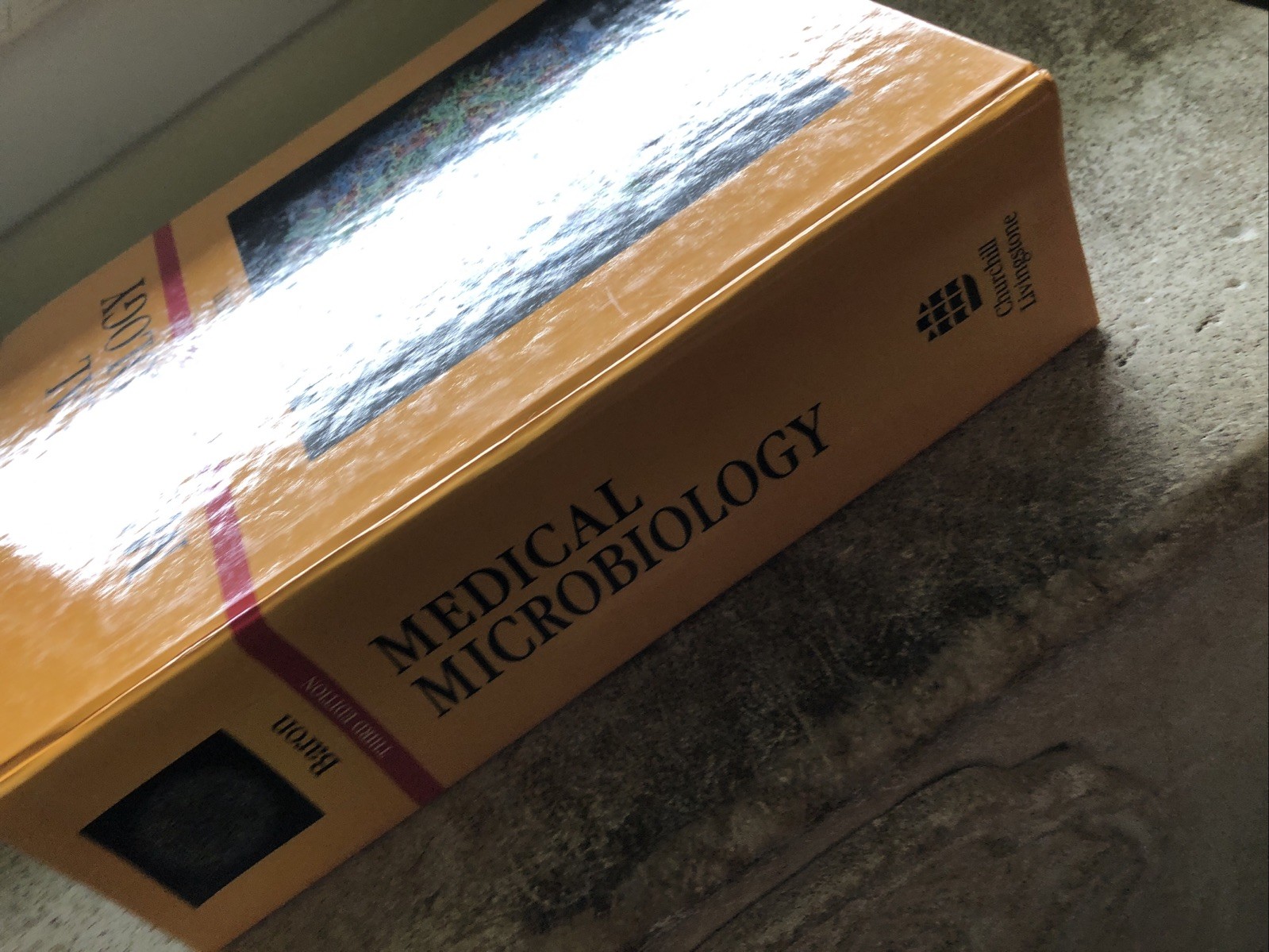 Medical Microbiology Textbook University Samuel Baron 3rd Edition 1991 Hardcover