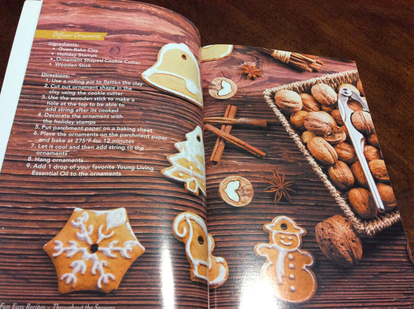 …Fun Easy Recipes Throughout the Seasons by Life Science Publishers (2017 PB)
