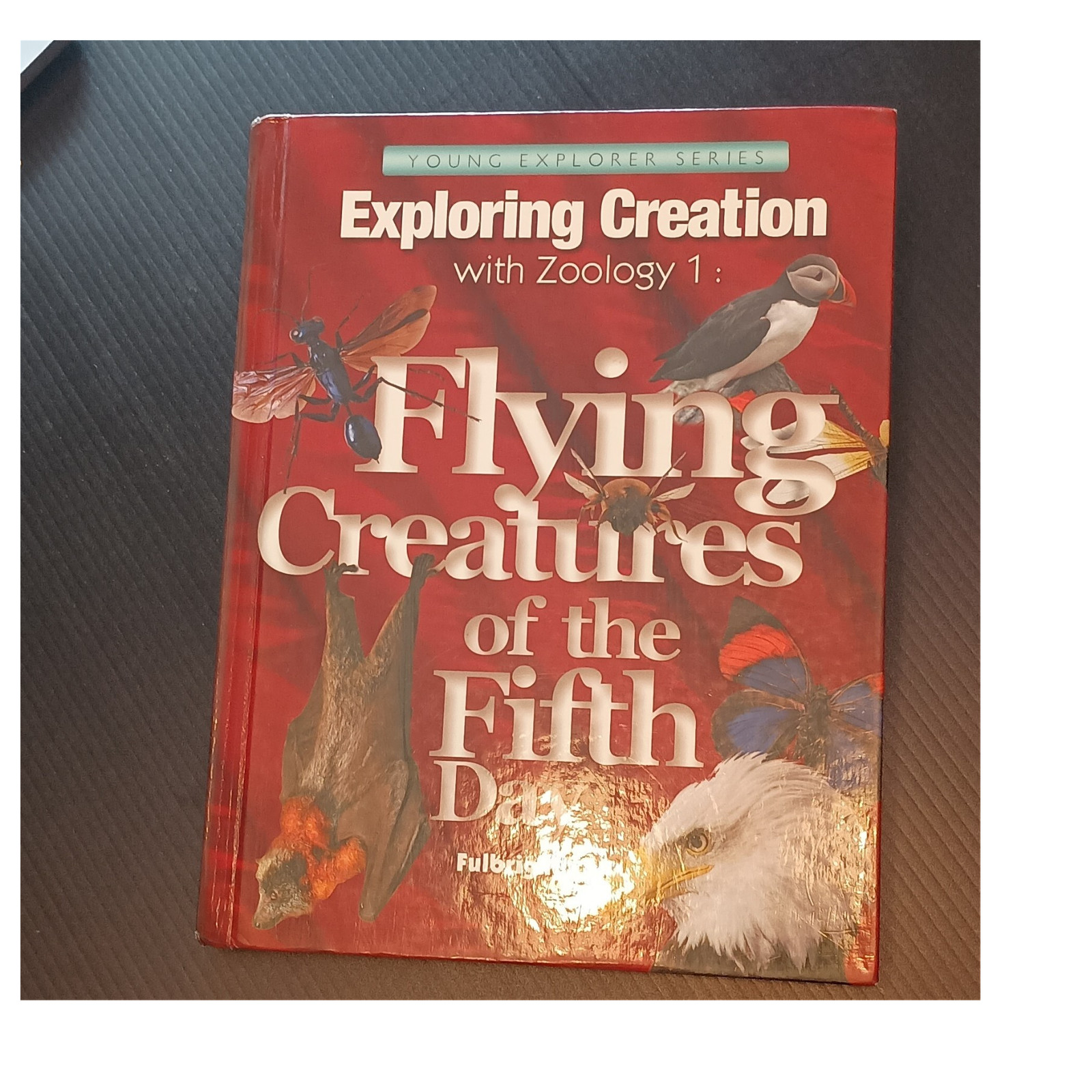 Young Explorer Exploring Creation with Zoology 1 HC Jeannie K. Fulbright
