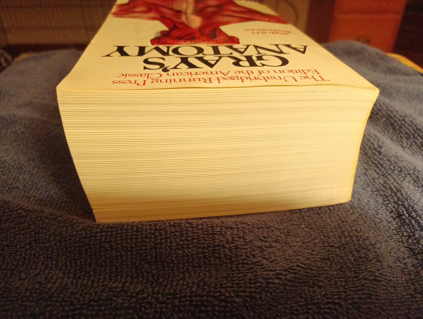 Gray’s Anatomy : The Unabridged Running Press Edition of the American Classic…