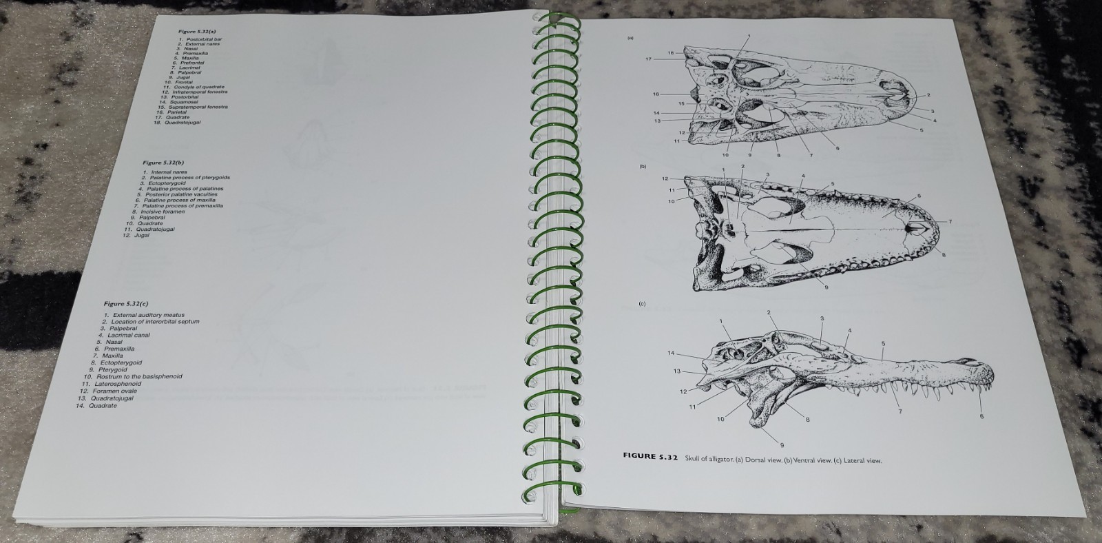 Vertebrates + Lab Dissection Manual